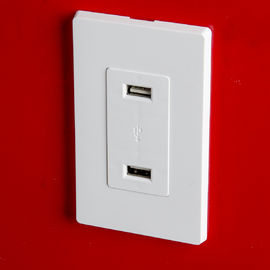 LD-U001 4.2A منفذ شاحن USB ذكي عالي السرعة ، 2 منفذ USB مع 2 لوحات جدار
